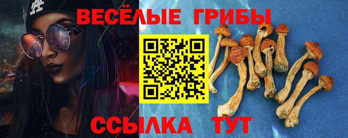 Галлюциногенные грибы MAGIC MUSHROOMS Петрозаводск