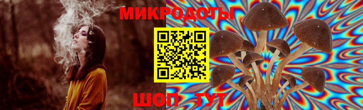 Псилоцибиновые грибы прущие грибы  Галлюциногенные грибы Cubensis  Вход с VPN  Петрозаводск 